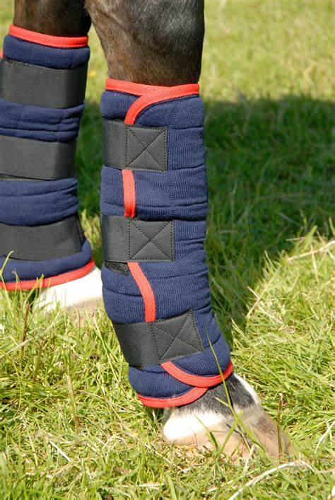 Quick Dry Horse Leg Wraps – Horse By Horse