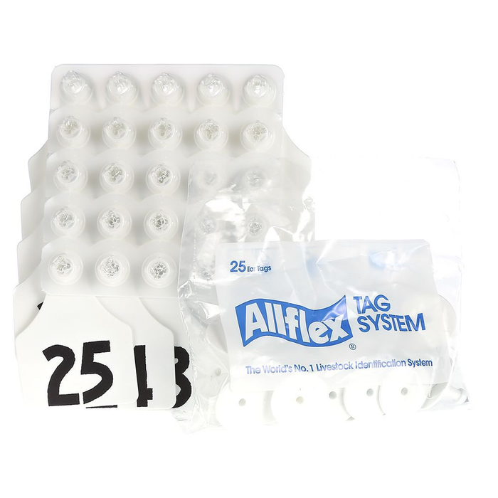 ALLFLEX: LARGE - FEM/SM - PURPLE - 26-50