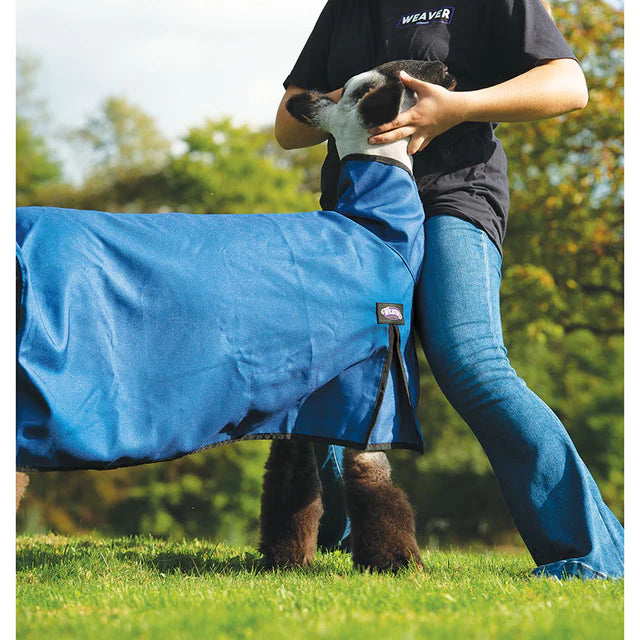 SMALL Nylon Sheep Blanket, Mesh Butt- NAVY