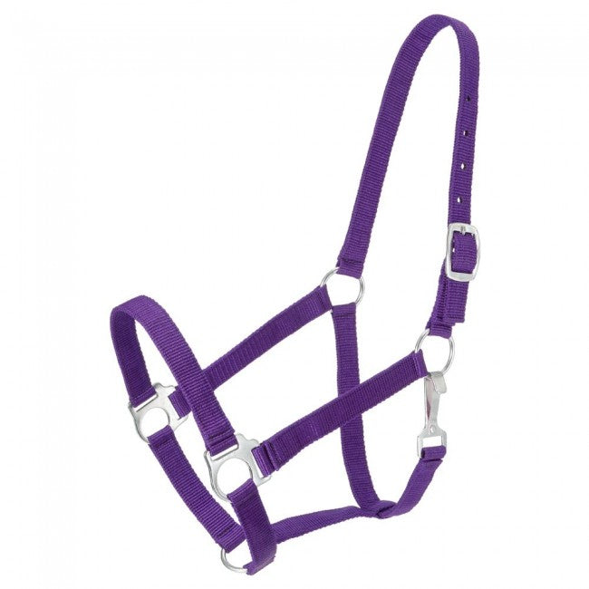 PURPLE Economy Nylon Halter Yearling