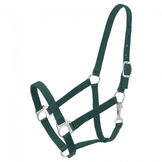 GREEN  Economy Nylon Halter Yearling