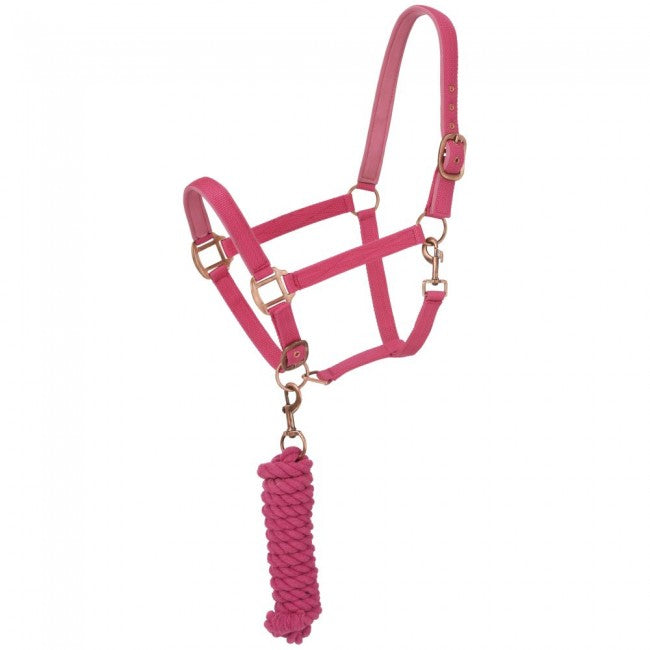 PINK - Neoprene Padded Halter with Lead Set