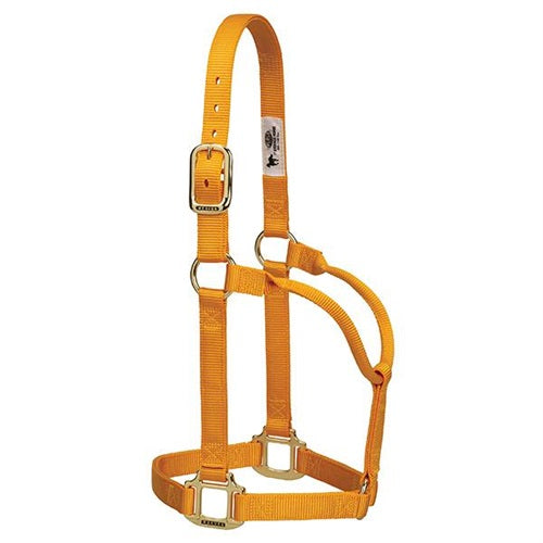 Original Non-Adjustable Halter 1" - Small HORSE OR WEANLING