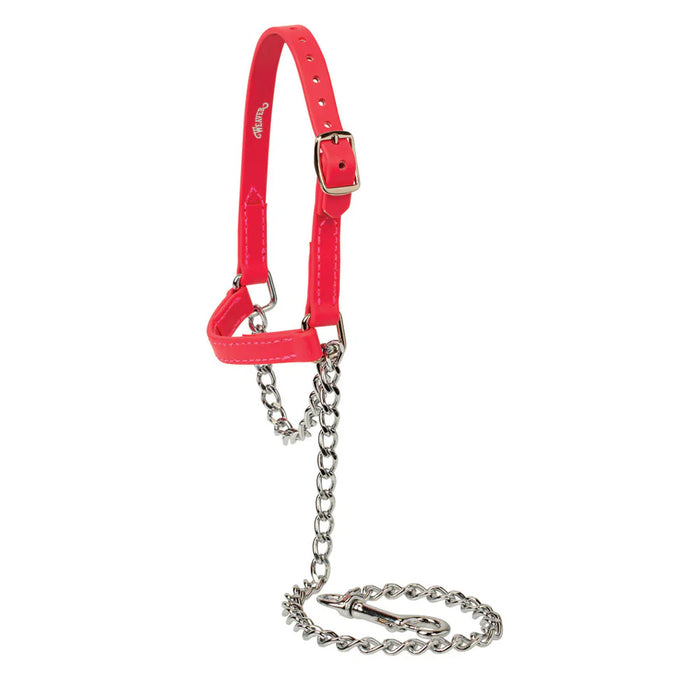 MEDIUM Sheep and Goat Brahma Webb® Halters STRAWBERRY