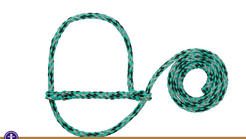 Poly Rope Halter - Sheep / Goat - mint/black/silver