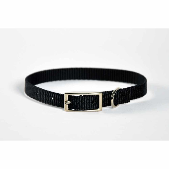 Dog Collar Skinny - 10" Hunter Green