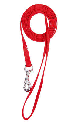 3/4" SINGLE LAYER NYLON LEASH RED 6'