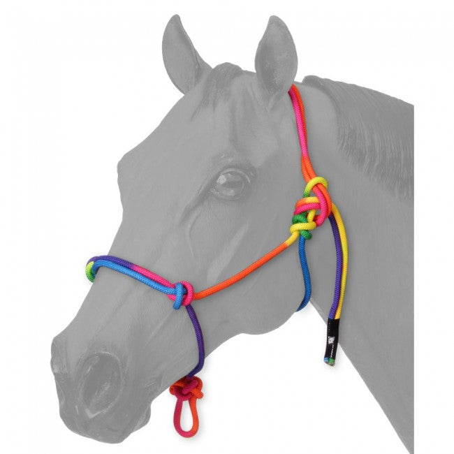 TOUGH1 MINIATURE MULTI-COLOR ROPE HALTER - MEDIUM