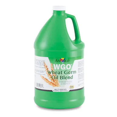 WHEAT GERM OIL BLEND GAL