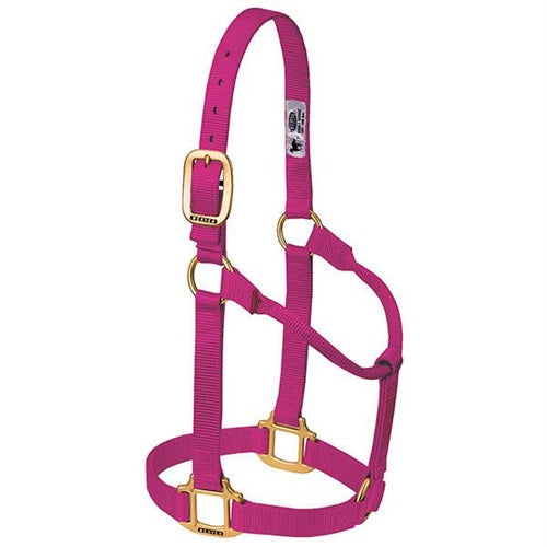 Original Non-Adjustable Halter 1" -  Raspberry