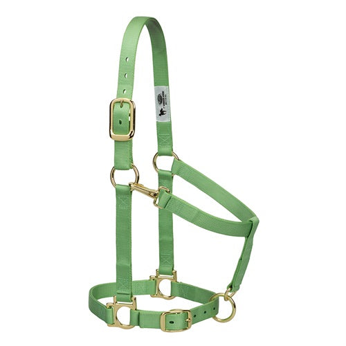 Basic Adjustable Chin and Throat Snap Halter- Large Green