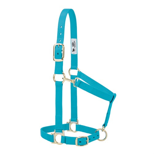 Basic Adjustable Chin and Throat Snap Halter- LargeTurquoise