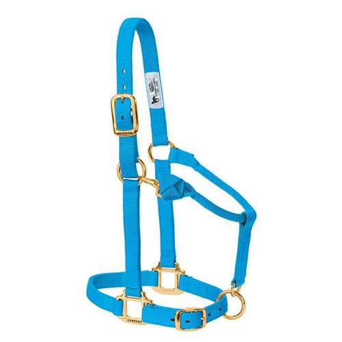 Original Adjustable Chin and Throat Snap Halter, 3/4" - Suckling Hurricane blue