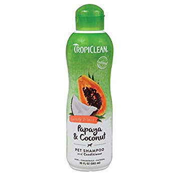 PAPAYA&COCONUT 2-IN-1 SHAMPOO 20OZ