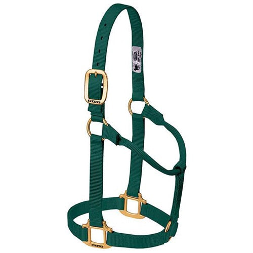 Original Non-Adjustable Halter , 3/4" Weanling/Pony Hunter Green