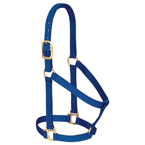 Basic Non-Adjustable Halter - Small Blue