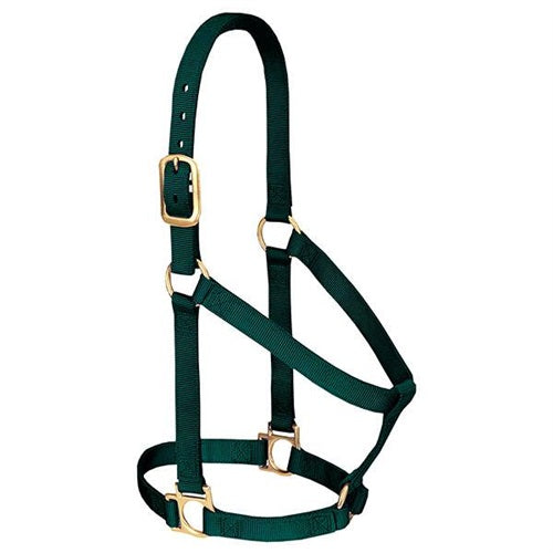 Basic Non-Adjustable Halter - Average Hunter Green