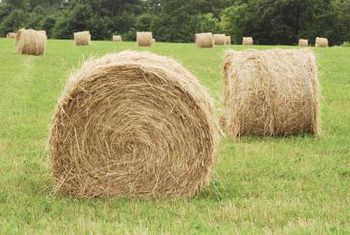 What a Hay Knife Does., I have round bales of hay so when I…